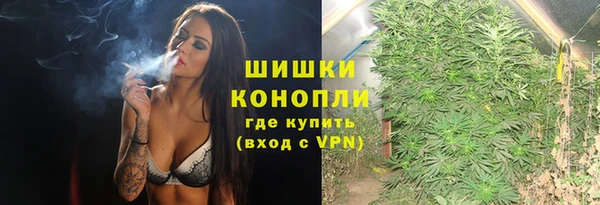 сатива Армянск
